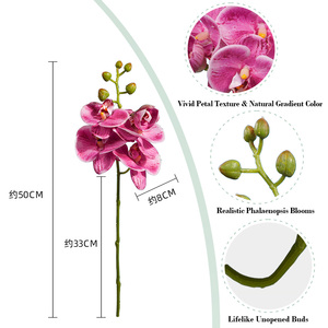 Tiges d'orchidées artificielles personnalisées de 50 cm, 5 têtes, en soie douce, fausses fleurs pour Thanksgiving, la remise des diplômes, Noël, la maison - Product Image 2
