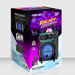 NDR-M121 Haut-parleur stéréo sans fil de 12 pouces pour extérieur avec micros, haut-parleur portable pour fête DJ avec chariot en bois - Product Image 6