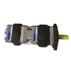 Pompe à pistons axiaux Eckerle 63 cm³ 350 bars, 1 étage, hydraulique, pour machine de moulage par injection - Product Image 1