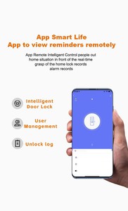 Tuya Sang Trọng Thông Minh Tủ Khóa 3D Nhận Dạng Khuôn Mặt Tự Động Thông Minh Khóa Wifi Thép Cửa Bộ Nhớ Thẻ Lưu Trữ Máy Ảnh Cửa Xử Lý - Product Image 4
