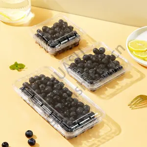 125g 250g加厚塑料蓝莓盒塑料水果包装盒用于蓝莓草莓