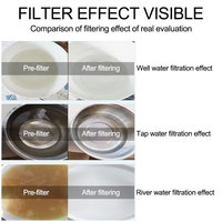 Purificateur d'eau UF en acier inoxydable, filtre à eau manuel mural pour toute la maison, pour la maison et le foyer