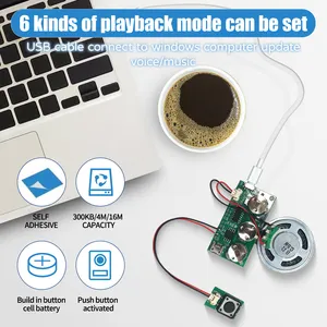 Il chip vocale del modulo audio di registrazione del pulsante personalizzato può modificare i file audio per una confezione regalo creativa