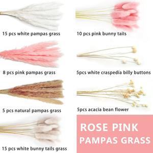 Bouquet de pampas séchées naturelles et d'herbe de queue de lapin <span class=keywords><strong>pour</strong></span> décoration rustique de ferme, ornement de baby shower - Product Image 6