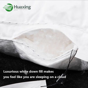 Tamaño personalizado, plumón <span class=keywords><strong>de</strong></span> ganso blanco, almohadas <span class=keywords><strong>de</strong></span> <span class=keywords><strong>cama</strong></span> con fuelle, función <span class=keywords><strong>de</strong></span> memoria, colección <span class=keywords><strong>de</strong></span> hoteles, almohada <span class=keywords><strong>para</strong></span> dormir - Product Image 2
