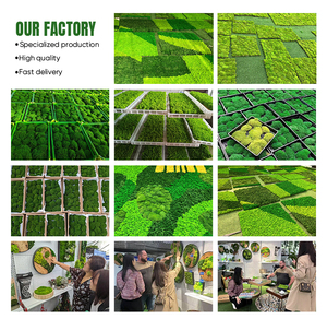 Mềm cỏ nhân tạo Turf mat với đống dày thân thiện với môi rêu thảm cho DIY ban công Wedding party trang trí nội thất và Backdrop - Product Image 5