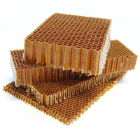 Papier para-aramide à haute compression en nid d'abeille - Noyau résistant aux impacts pour blindages balistiques et structures marines