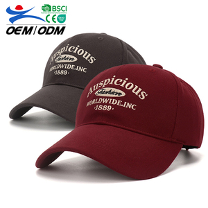 Custom 6-Panel Embroidery Logo Baseball Cap 100% Cotton Sporty Style Outdoor Sports Headwear Spring Summer Wearable Activities - Product Image 1