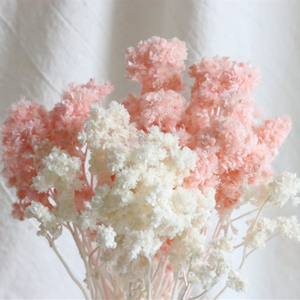 Flores artificiales preservadas, decoración para el hogar, boda, <span class=keywords><strong>Edelweiss</strong></span>, crisantemo - Product Image 2
