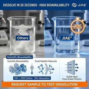 Poudre de collagène marin de <span class=keywords><strong>platine</strong></span> JIAYI certifiée Halal pour la beauté et la santé des os, complément alimentaire naturel pour adultes - Product Image 6