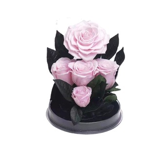 Fiore eterno giardino segreto rosa acrilico trasparente 214 conservato di san valentino regalo di natale laurea nuovo anno pasqua - Product Image 5