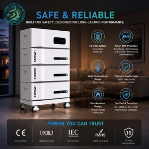 Estación de Energía Fuera de la Red Todo en Uno de 15.36kWh 51.2V LiFePO4 para Montaje en Rack, Almacenamiento de Energía Doméstica con 20-30kW - Product Image 3