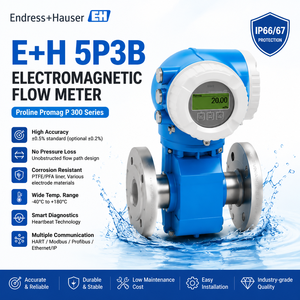 เครื่องวัดการไหลแบบแม่เหล็ก Endress+Hauser 5P3B Proline Promag P300 รุ่นดั้งเดิม ความแม่นยำสูง สำหรับน้ำเสีย - Product Image 1