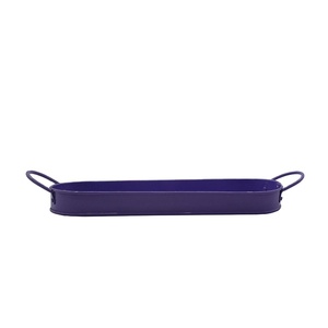 Vente directe 0.2 gallons ovale Pot de <span class=keywords><strong>fleur</strong></span> <span class=keywords><strong>Rectangle</strong></span> décoratif personnalisé Pot de <span class=keywords><strong>fleur</strong></span> en métal plateau avec poignées pour la décoration intérieure - Product Image 1
