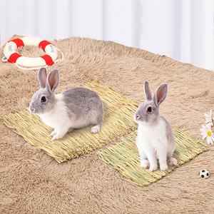 Motif solide tissé tapis de paille pour animaux de compagnie nid d'approvisionnement pour lapin cochon d'inde fournitures pour animaux de compagnie confortables et durables - Product Image 3