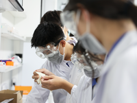 Professional and Independent Laboratory Testing and Inspection Services for Synthetic Fibre Products Inspections