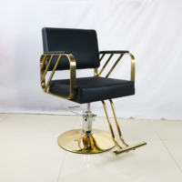 Pompe hydraulique Styling Salon Beauté Hydraulique Coiffure Styling Chaises Salon Meubles Personnalisé