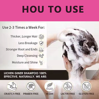 Après-shampoing Chebe Olive Gingembre pour Cheveux Secs et Délicats : Hydratant, Adoucissant, Nettoyant en Profondeur, Démêlant et Brillance