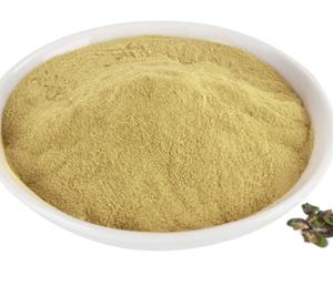 Grosir ekstrak <span class=keywords><strong>Andrographis</strong></span> Paniculata jumlah besar 10% bubuk Andrographolide - Product Image 1