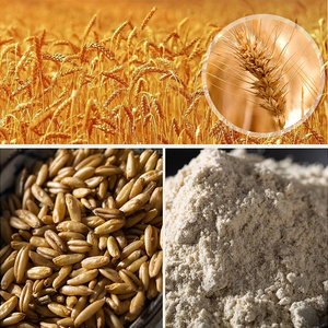 Harina de <span class=keywords><strong>Avena</strong></span> a Granel 25 kg al por Mayor, Polvo de <span class=keywords><strong>Avena</strong></span> Integral de Grado Alimenticio Industrial, Suministro Estable, Precio Directo de Fábrica - Product Image 3