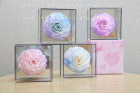 Rose éternelle géante en gros, 1 tête, avec base miroir, boîte carrée en acrylique, arrangement floral au toucher réel, Saint-Valentin, remise des diplômes