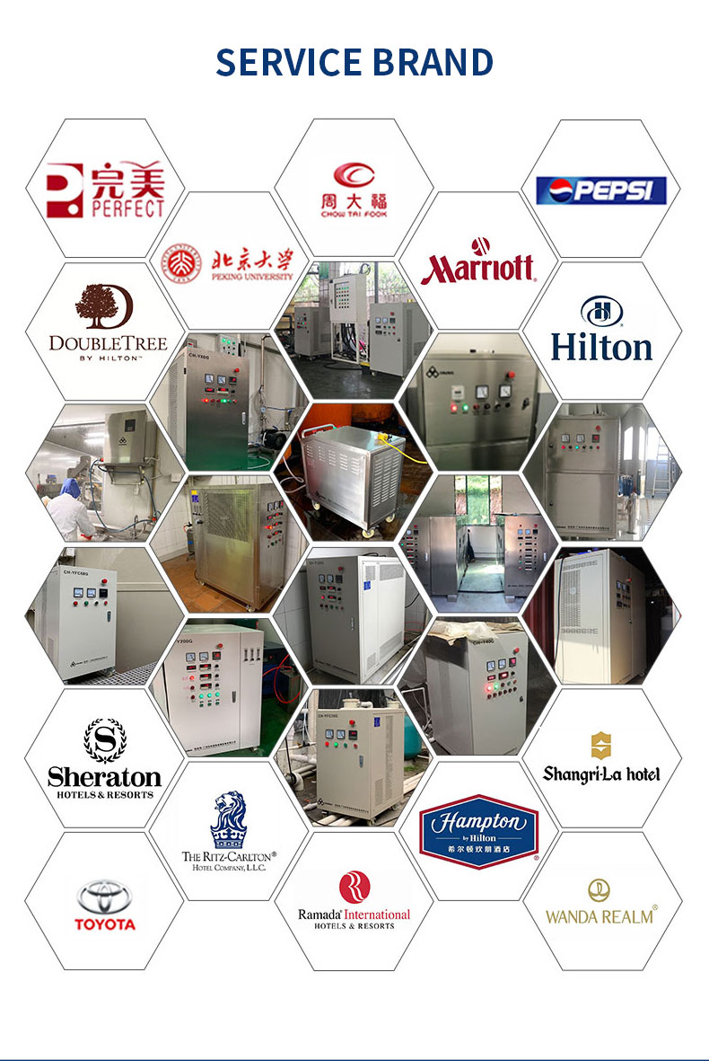 Professional Large Ozone Generator 100G/H Ozone Sterilization Machine Water Cooling 8