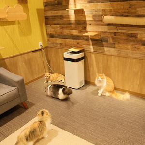 Airdog X5 Filtre à <span class=keywords><strong>air</strong></span> domestique Meilleur <span class=keywords><strong>purificateur</strong></span> <span class=keywords><strong>d</strong></span>'<span class=keywords><strong>air</strong></span> pour animaux de compagnie Odeurs de poils - Product Image 5