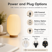 Lampe de table LED 3D imprimée sur mesure, style nordique créatif, pour chambre à coucher, design moderne USB décoratif pour chevet avec alimentation par batterie