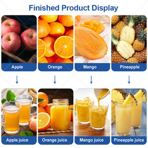 Équipement de traitement de jus de fruits à petite échelle ORME, usine de production de jus de carotte frais - Product Image 6