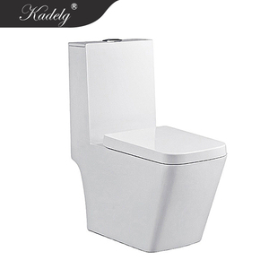 Tiêu Chuẩn Châu Âu Vệ Sinh Một Mảnh Gốm Nhà Vệ Sinh Bát Hiện Đại Kéo Dài Dual-Flush P-Trap S-Trap Thoát Nước Cho Phòng Tắm Sử Dụng - Product Image 5