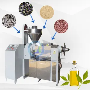 Semi Industrial Small Avocado Cold Press Coconut Mustard Sea Buckthorn Oil Extraction Machine