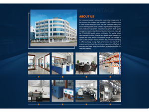 แขนควบคุมด้านหน้าล่าง tsbj L สำหรับ Chevrolet OPTRA 96535081 - Product Image 6