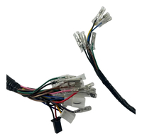 Motorcycle Main Electrical Wiring Harness for Yamaha YBR 125 E ED 2006-2008 Replacement