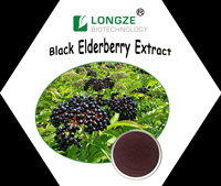 Europese Zwarte Vlierbessen Extract Poeder Fruit Zwarte Vlier 25% Anthocyanidins