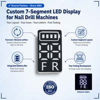 Pantalla LED Profesional Personalizada de 7 Segmentos, Módulo Indicador de Batería de 2 Dígitos para Máquinas de Manicura Eléctricas