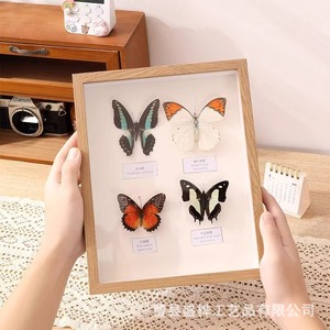 Cadre en bois pour spécimens d'insectes, boîte de rangement rectangulaire faite à la main pour l'affichage sur le bureau à domicile - Product Image 4