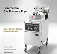 Equipo de Comida Rápida: Freidora Industrial para Pollo Broaster, Freidora de Papas Fritas, Olla con Filtro de Aceite para Cocinar Pollo
