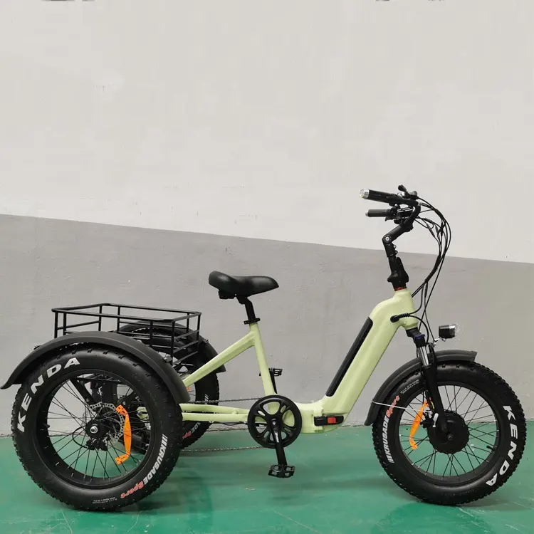 Joyebikes Desain Baru Sepeda Listrik Roda 3 Sepeda Roda Tiga Elektrik Murah 20 Inci Ban Lemak 48V 500W 750W Sepeda Motor Sepeda Listrik