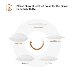High Quality Wholesale Custom <strong>Square</strong> White 100% Polyester Cushion <strong>Insert</strong> Throw <strong>Pillow</strong> - Product Image 6