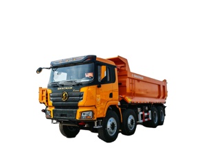 Camión Volquete Diésel Shacman 8x4, 460hp, Capacidad 50t, EURO 5, Camión de Transporte Pesado para Ingeniería - Product Image 2