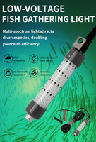 Lampes de pêche LED personnalisées 100W 200W 600W, 12V, sous-marines, pour attirer les calmars et les thons, lampes de pêche en eau profonde pour quais et bateaux