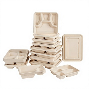 Boîte alimentaire jetable multi-compartiments en bagasse de canne à sucre biodégradable et compostable pour plats à emporter, sushis et frites - Product Image 2