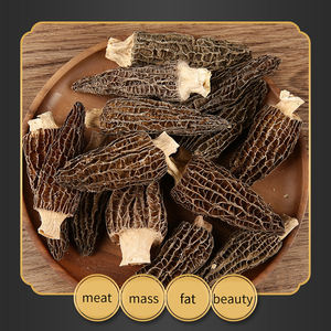 Jamur Morel liar tumbuh alami, harga grosir jamur Morel - Product Image 5
