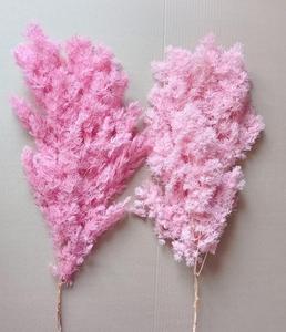 Fiori Secchi di Felce Ming, Asparagus Felice Naturale Essiccato e Conservato per Decorazioni di Matrimoni, Natale, Laurea e Capodanno Cinese - Product Image 6