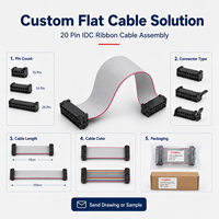 Câble plat avec connecteur IDC, assemblage de câble ruban 20 broches, faisceau de câblage pour connexion PCB, solution de câblage personnalisée OEM