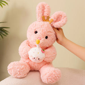 Peluche amore piccolo orso coniglio bambola cuscino compleanno coniglio orso peluche animale peluche orso - Product Image 5