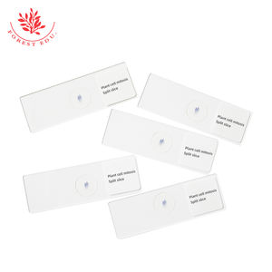 준비된 슬라이드 ascari와 양파 Mitosis 현미경 슬라이드 세트 의료 과학 - Product Image 4