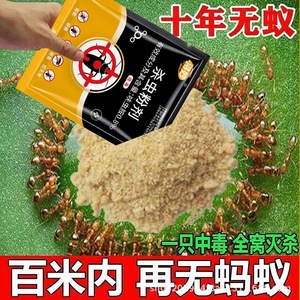 Polvo para matar <span class=keywords><strong>hormigas</strong></span>, 5g, no tóxico, para uso en interiores y cocinas, eliminación de todo el nido, cebo para <span class=keywords><strong>hormigas</strong></span> para macetas - Product Image 2