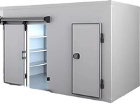 Emth Kleine Middelgrote Leverancier Koude Kamer-20 ~ 18 ℃ Vriezer Ruimte Voor Fruit Koeling