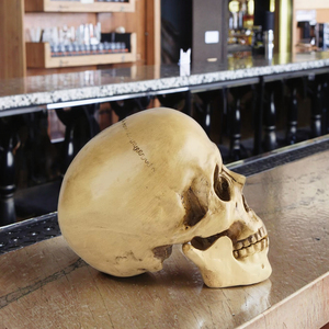 Résine Crâne Humain SKB24 Bar Décoration ou Halloween Cadeau Réaliste Crâne Humain Modèle Spécimen Artisanat - Product Image 5